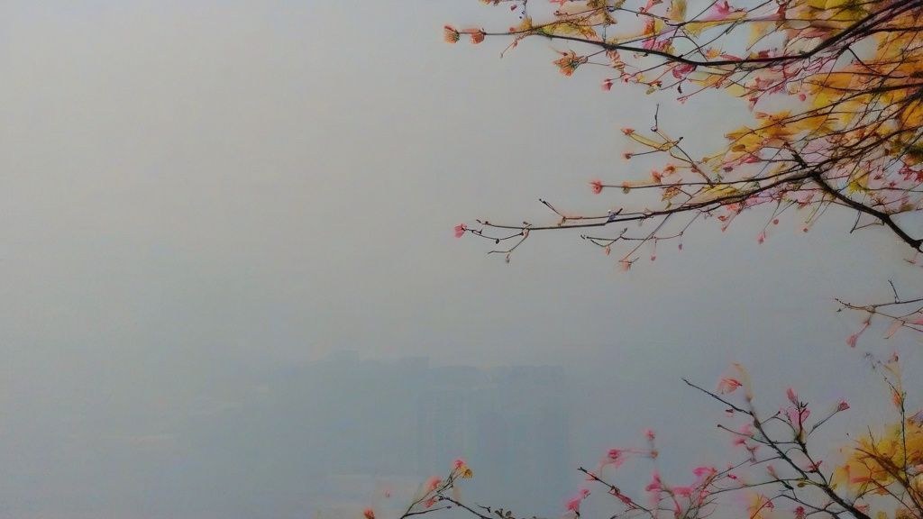 점심시간, 한국 직장인들이 스마트폰으로 쇼핑하며 할인 혜택을 확인하는 모습