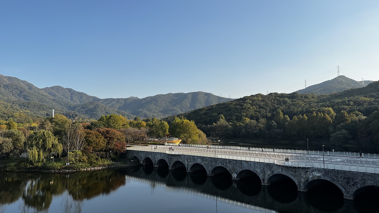 서울대 로고