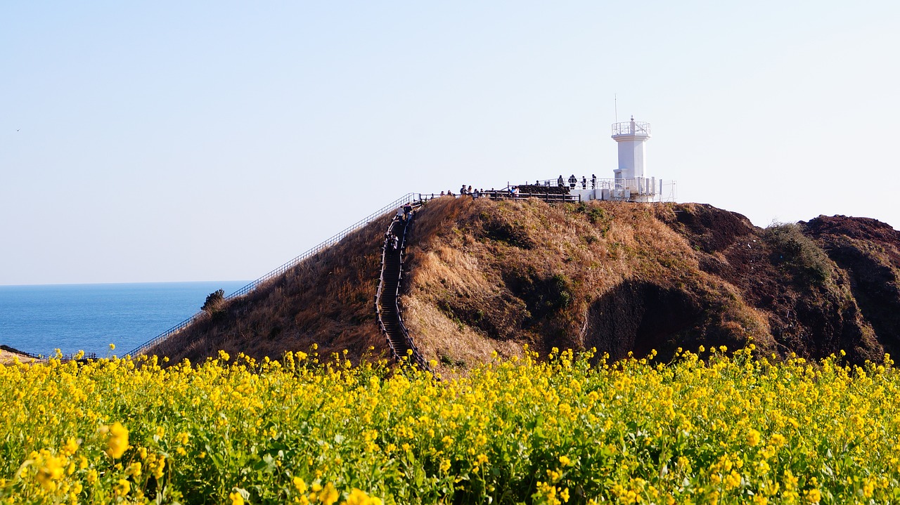 제주도 전기차