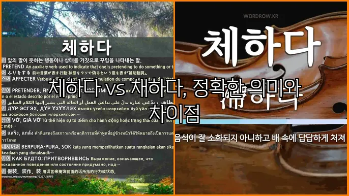 체하다 vs 채하다, 정확한 의미와 차이점